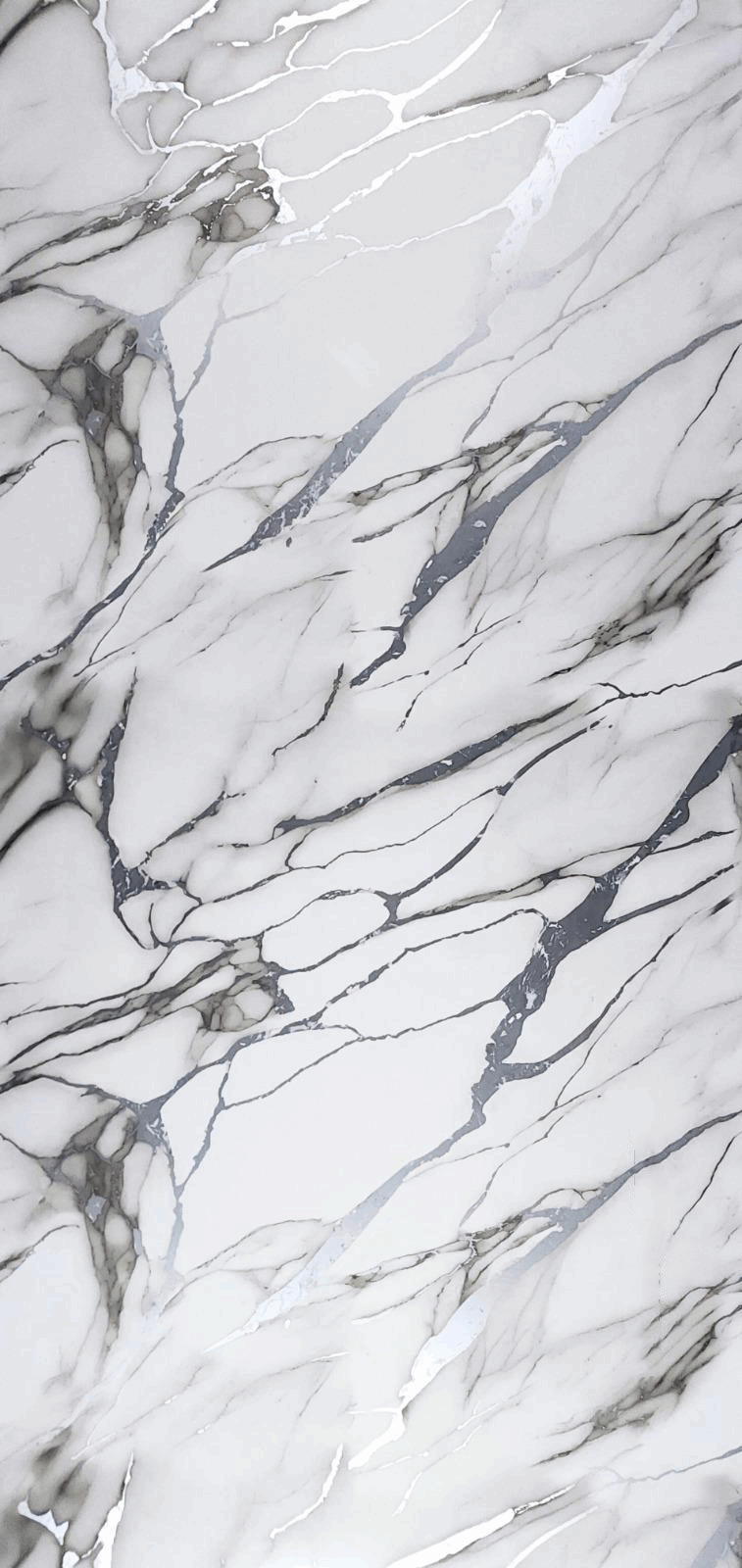 PVC-Paneel Design Silver Forest 260 cm x 122 cm